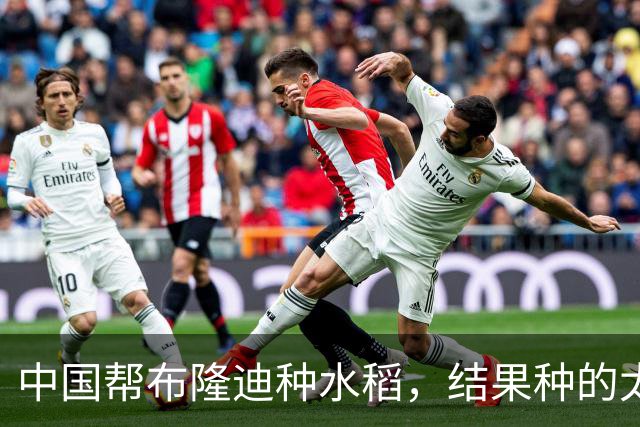 中国帮布隆迪种水稻，结果种的太好，彻底撕毁了西方国家的伪善