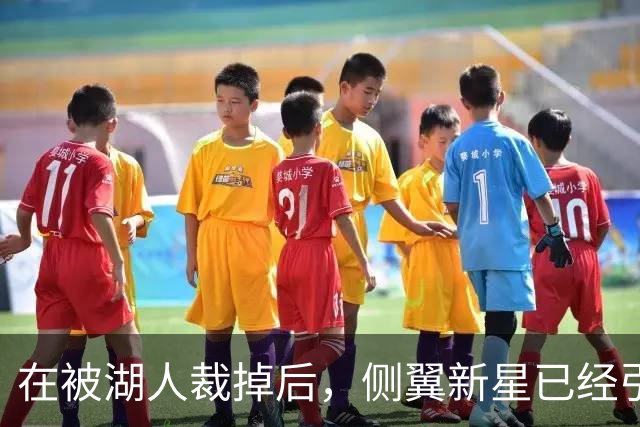 在被湖人裁掉后，侧翼新星已经引起了国王、森林狼和猛龙的关注？