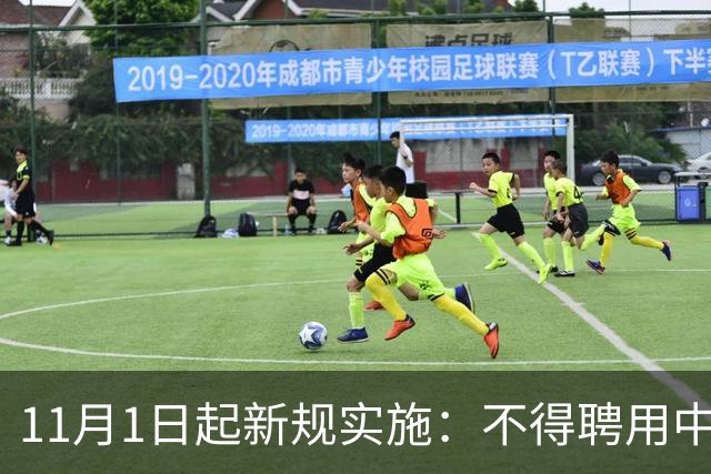 11月1日起新规实施：不得聘用中小学、幼儿园在职教师！